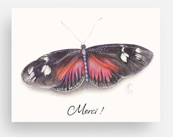 Thank you butterfly card + envelope