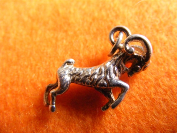 E) Vintage Sterling Silver Charm Zodiac Capricorn… - image 4