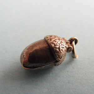 May include: A detailed, bronze-colored acorn charm with a textured cap and a small loop for attachment. The acorn is a classic nature-inspired pendant, suitable for necklaces or bracelets.
