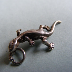 Puede incluir: Un dije de plata detallado con forma de lagarto con cola rizada y un pequeño lazo para sujetarlo. El lagarto tiene piel texturizada y patas y pies detallados. El dije es probablemente para un collar o pulsera.