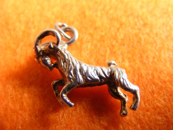 E) Vintage Sterling Silver Charm Zodiac Capricorn… - image 1