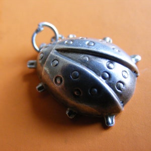L) GJLtd Dije vintage de plata de ley con diseño de pájaro inflado
