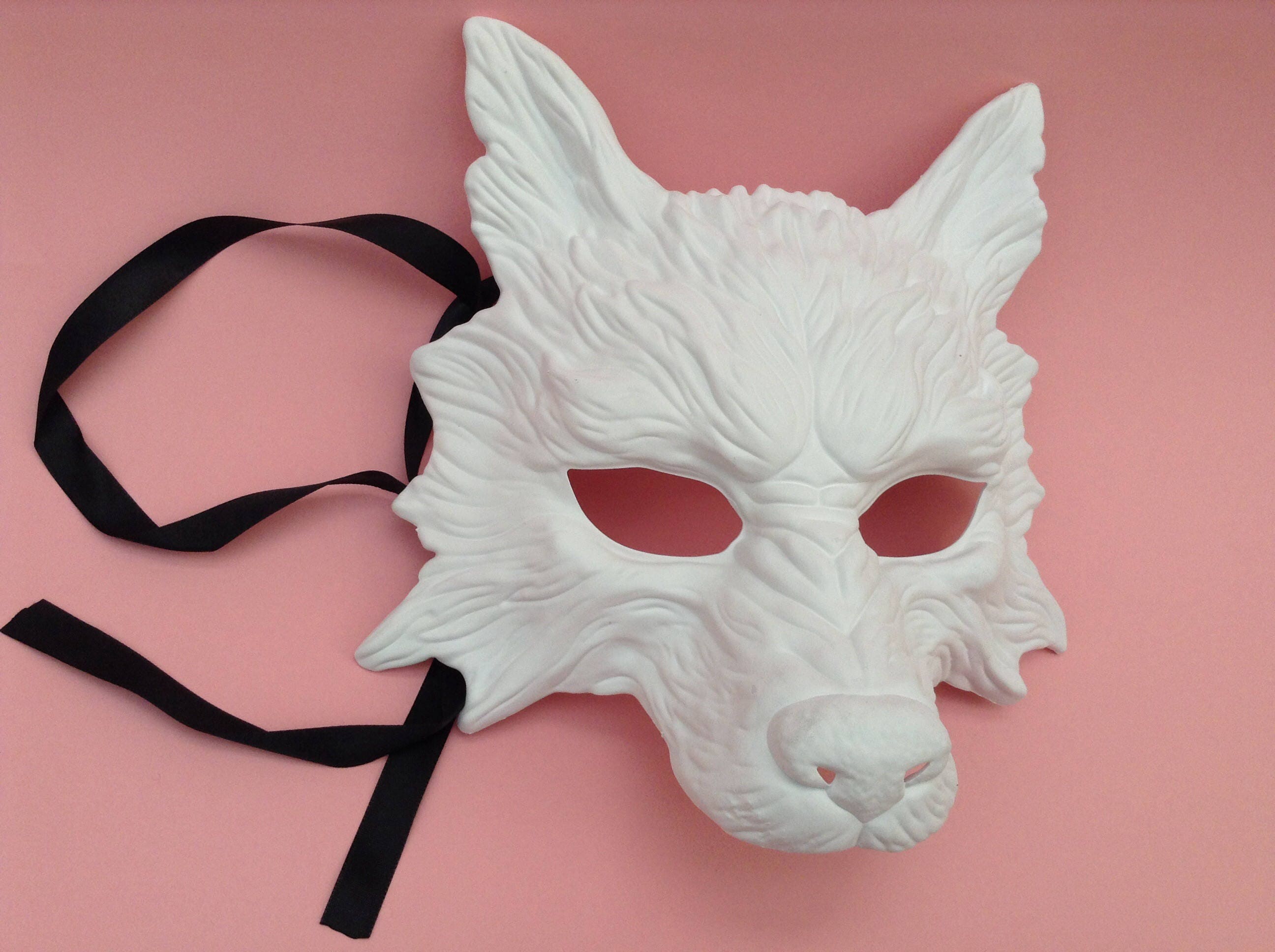 5PCS DIY White Empty Masquerade Mask Therian Mask Mask Adults Mask Kids