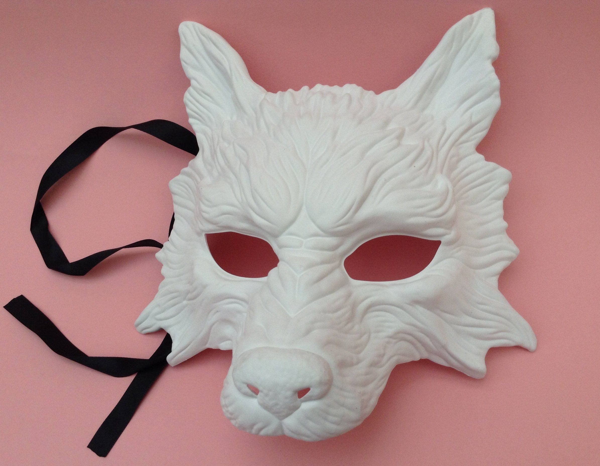  Toyvian Therian Mask Cat Masks Fox Mask Set White Paper Mask  Hand Painted Blank Mask Diy Your Own Mask Cosplay Fox and Cat Animal Mask  DIY Blank Masks Masquerade Accessories 