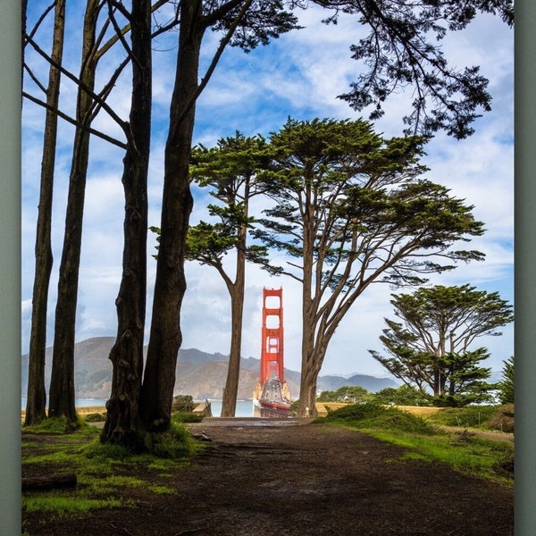 Golden Gate Bridge and Cypress Trees Print, San Francisco Fine Art Photography, Presidio National Park Photo, SF Bay Area Wall Art