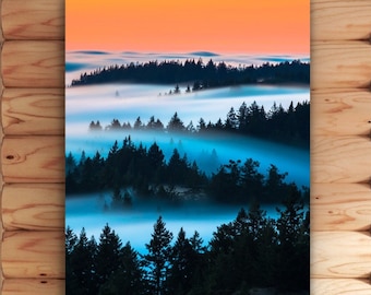 Majestic Mt. Tam Dusk: Enchanting Fog Flowing Through Trees Photo Print - California Nature Photography