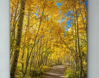 Colorful Autumn Print, Yellow Aspen Trees Photo, Fall Colors Artwork, Beautiful Autumn Scenic Wall Art