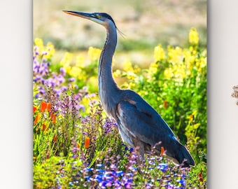 Great Blue Heron Wall Art, Bird Print with Wildflowers, Wildlife Artwork, Nature Photography for Home Decor, Bird Lover Gift