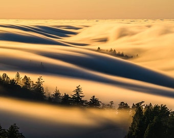 Above the Clouds Panorama Photo, Dreamy Art Print of Fog Flowing Through Trees, Mt. Tamalpais Wall Decor, San Francisco Bay Area Cloudscape