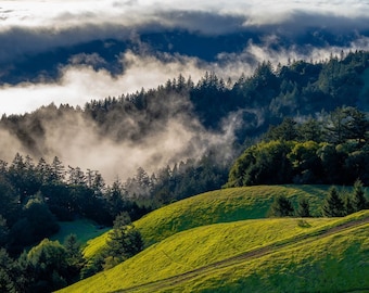 Rolling Green Hills Wall Art Spring Fog Over Mt. Tamalpais Photo Serene Northern California Nature Landscape Print
