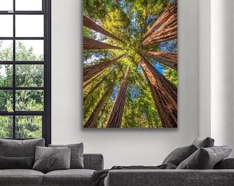 Majestic Muir Woods Print, Redwood Tree Wall Art, Scenic Forest Landscape for Home Décor, Nature Lover Gift, Vibrant Nature Artwork