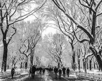 Central Park Winter Print, Mall and Literary Walk in Snow, Snowy New York City Wall Art, Classic New York Print