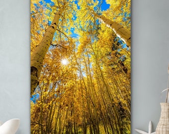 Aspen Tree Art, Yellow and Golden Autumn Foliage, Colorful Tree Print, Fall Foliage Art, Nature Photography