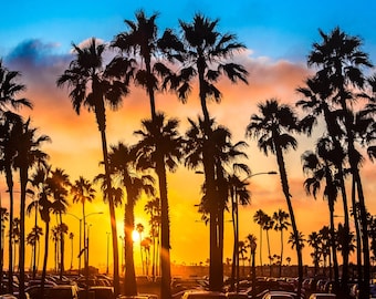 Californische palmboom zonsondergang foto | Kunstafdruk kustlandschap