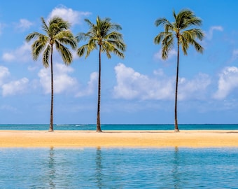 Hawaii Palm Trees Print Serene Tropical Wall Art Decor Hawaiian Beach Artwork Tropical Home Accent Calm Relaxing Home Ambiance