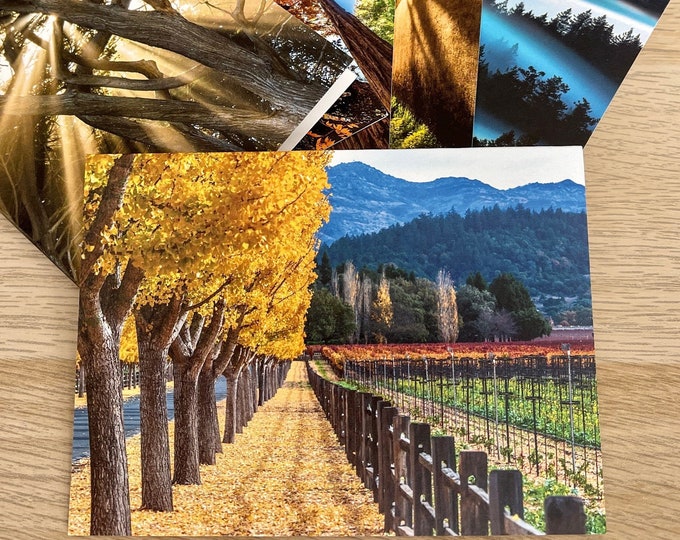 Scenic Photo Cards Nature Photography Note Cards Set Blank - Etsy