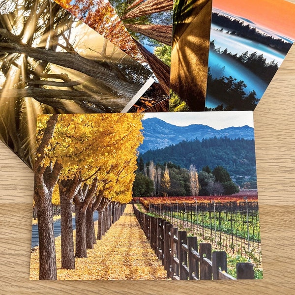 Scenic Photo Cards, Nature Photography Note Cards Set, Blank Notecards For All Occasions, Beautiful Photos of Trees