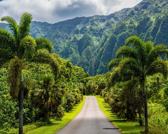 Hawaii Wall Art Print, Tropical Oahu Landscape Photography, Lush Green Jungle Mountains, Palm Trees Road, Island Paradise Home Decor