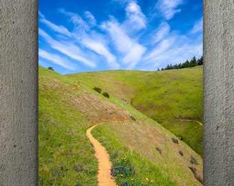 Spring Wall Art, Green Hills Print, Marin County Hiking Trail, Mt. Tam Photograph, Northern California Landscape Print