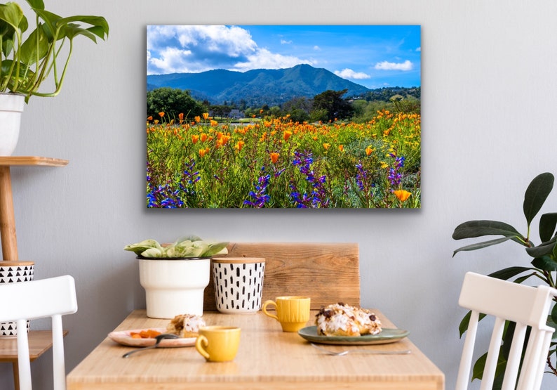 Puede incluir: Una fotograf&iacute;a de paisaje colorida que presenta un campo de flores silvestres amarillas y moradas en primer plano, con una cordillera en el fondo. El cielo es azul con nubes blancas.