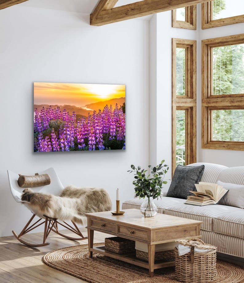 Lupinvildblommor solnedgångstryck, Kaliforniens kustfotografi, kustvildblomskonst, solnedgångslandskap väggdekor bild 5