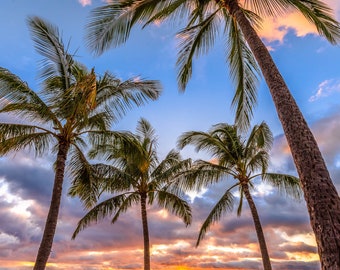 Oahu Sunset Print Hawaiian Island Tropical Decor Island Sunset Wall Art Print Hawaii Coastal Decor Oahu Island View