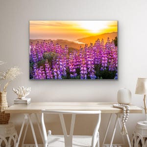 Lupinvildblommor solnedgångstryck, Kaliforniens kustfotografi, kustvildblomskonst, solnedgångslandskap väggdekor bild 6