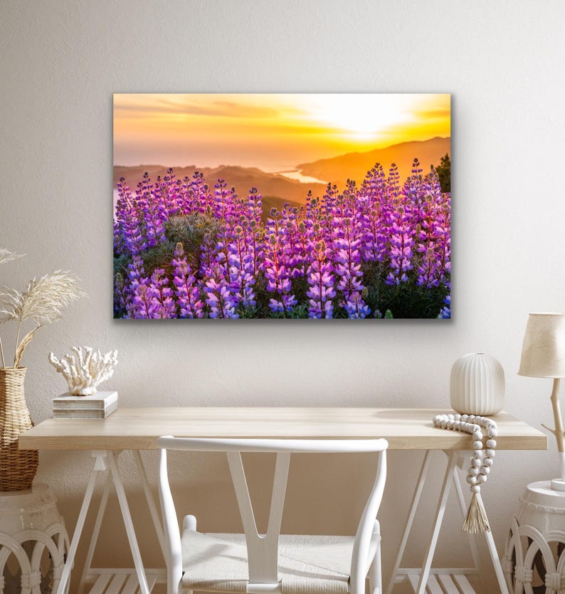 Lupinvildblommor solnedgångstryck, Kaliforniens kustfotografi, kustvildblomskonst, solnedgångslandskap väggdekor bild 6