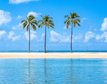 Hawaii Palm Tree Beach Photography Print, Tropical Coastal Decor