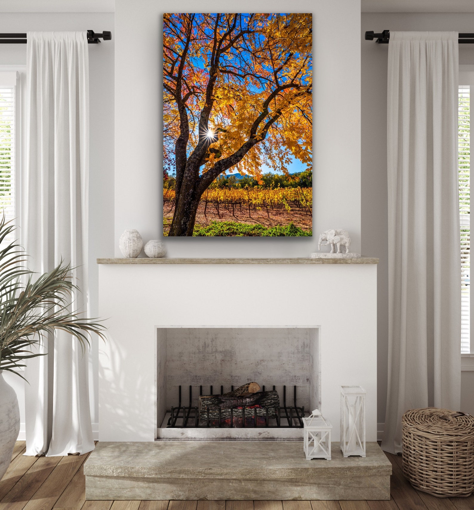 Colorful Tree Print Fall Colors Wall Art Napa Valley Photo Etsy