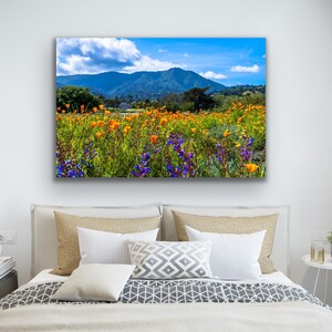 Puede incluir: Una fotograf&iacute;a de un campo de flores silvestres naranjas y moradas con una cordillera de monta&ntilde;as en el fondo. El cielo es azul con nubes blancas.
