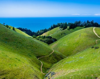Puede incluir: Un paisaje pintoresco con verdes colinas onduladas bajo un cielo azul claro. Un sendero sinuoso de tierra atraviesa los valles, que conduce al mar en la distancia. Los árboles salpican las laderas, agregando profundidad a la vista natural.
