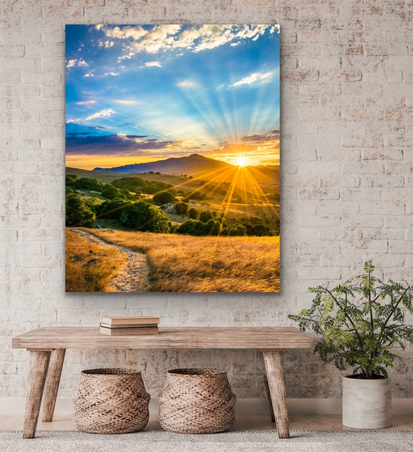 Golden Hour Mt. Tamalpais Sunset Photo Marin County Hills Path and