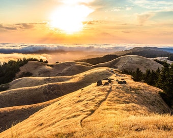 Mt. Tamalpais Landscape Wall Art, Marin County Print, San Francisco Bay Area Photography