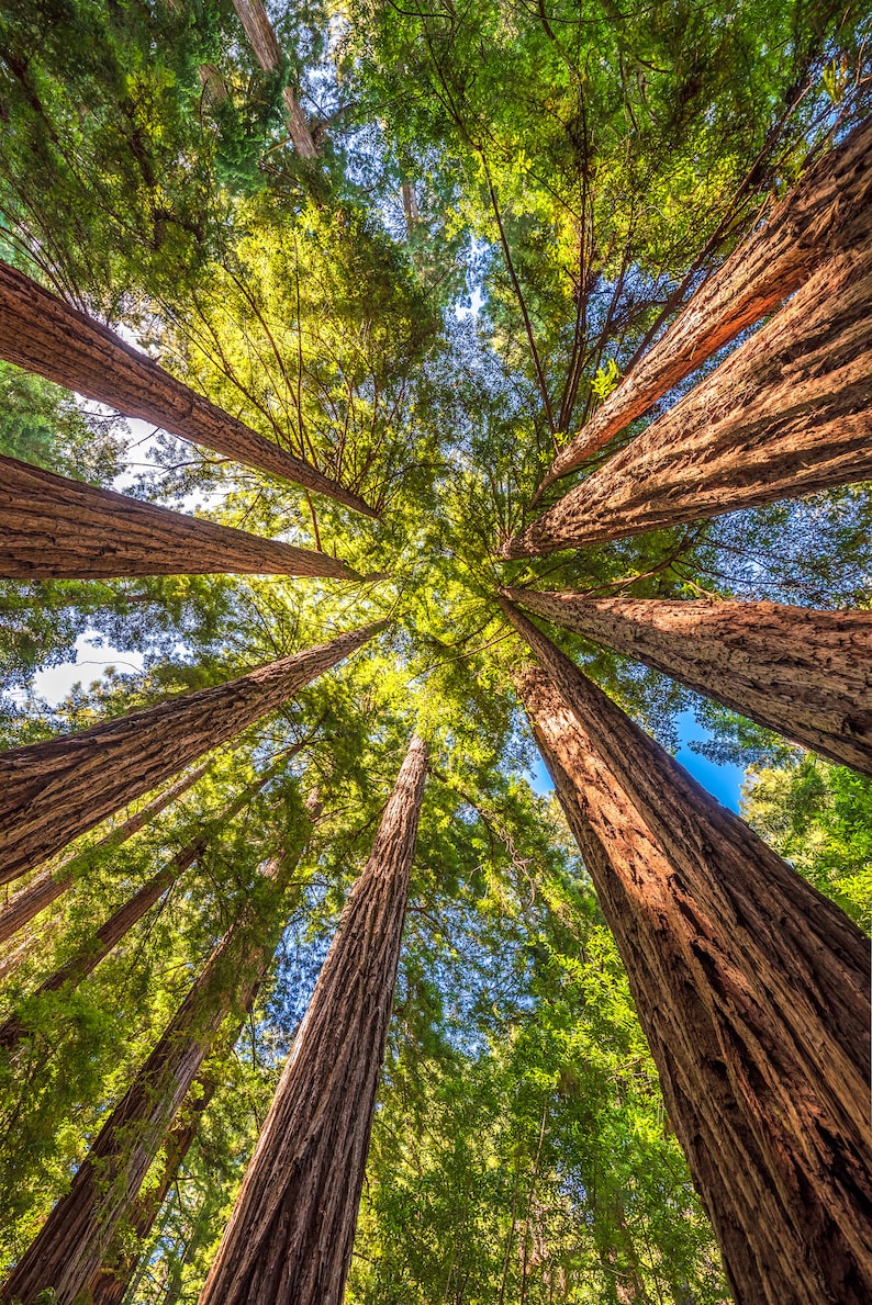 Scenic Photo Cards Nature Photography Note Cards Set Blank Etsy