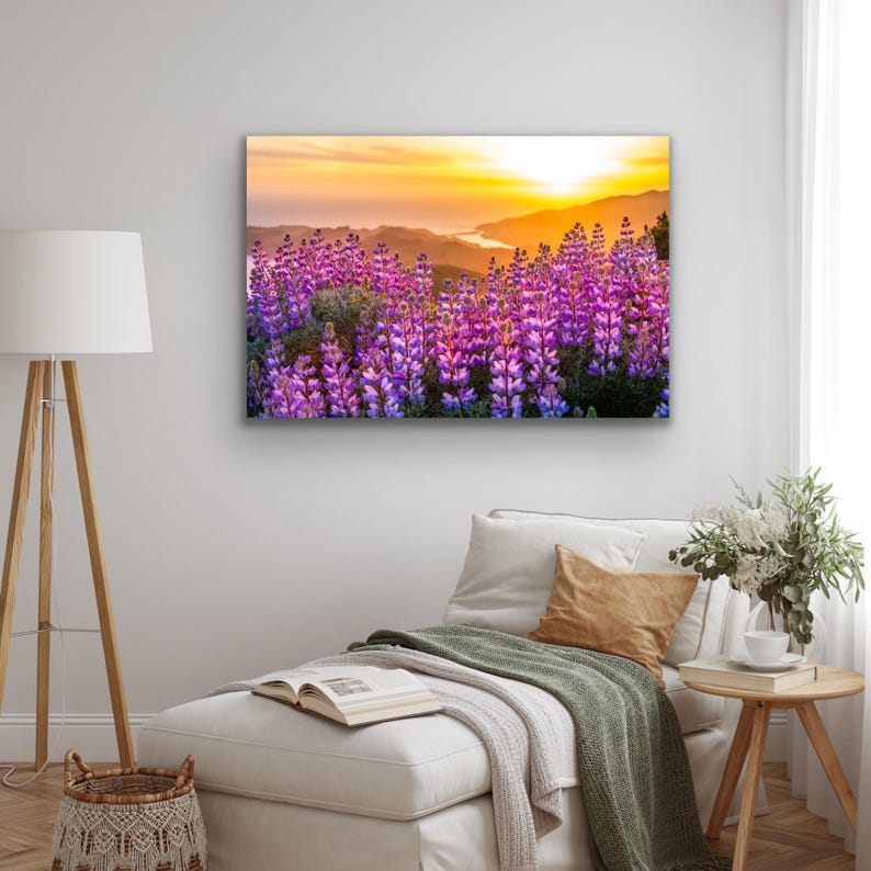 Lupinvildblommor solnedgångstryck, Kaliforniens kustfotografi, kustvildblomskonst, solnedgångslandskap väggdekor bild 2