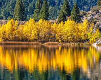 Impresión del reflejo del lago y los álamos, paisaje otoñal de Sierra Nevada