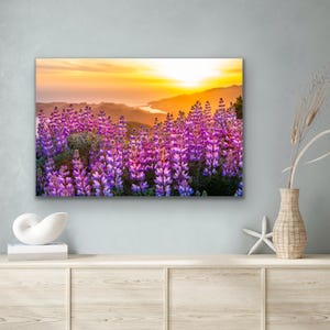 Lupinvildblommor solnedgångstryck, Kaliforniens kustfotografi, kustvildblomskonst, solnedgångslandskap väggdekor bild 4