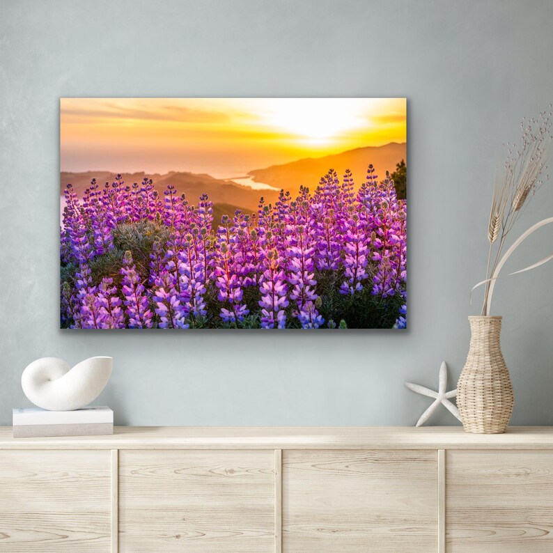 Lupinvildblommor solnedgångstryck, Kaliforniens kustfotografi, kustvildblomskonst, solnedgångslandskap väggdekor bild 4