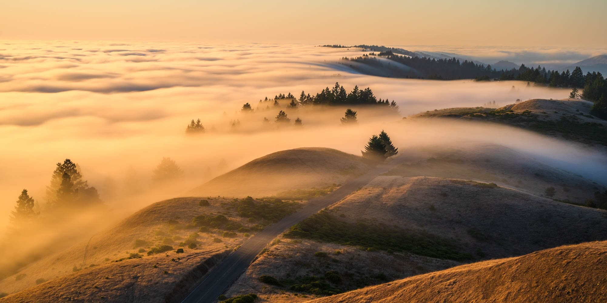 【自然風景アートフォト】霧山の写真（A3判。オリジナルフォト。ハクバ製） 自然風景アートフォト】霧山の写真（A3判。オリジナルフォト。ハクバ製）
