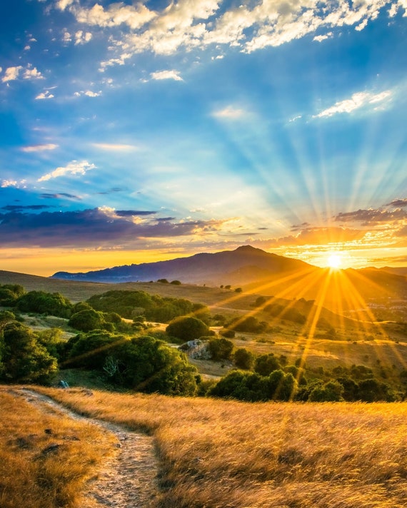 Golden Hour Mt. Tamalpais Sunset Photo Marin County Hills Path and