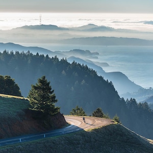 May include: A scenic view of a winding road leading through a lush forest with a distant ocean in the background. The road is surrounded by trees and hills, and the sky is a soft blue with a hint of clouds.