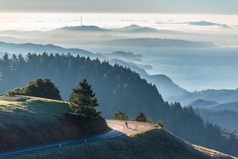 May include: A scenic view of a winding road leading through a lush forest with a distant ocean in the background. The road is surrounded by trees and hills, and the sky is a soft blue with a hint of clouds.