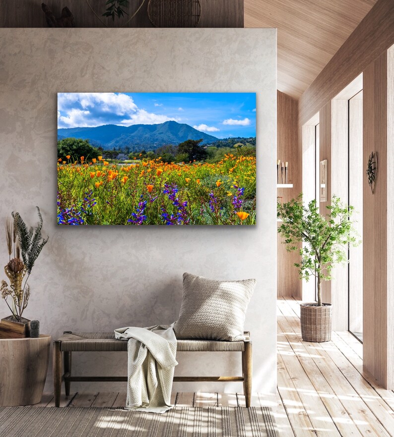 Puede incluir: Una fotograf&iacute;a de paisaje vibrante que presenta un campo de flores silvestres naranjas y moradas en primer plano, con una cordillera en el fondo. El cielo es azul con nubes blancas.