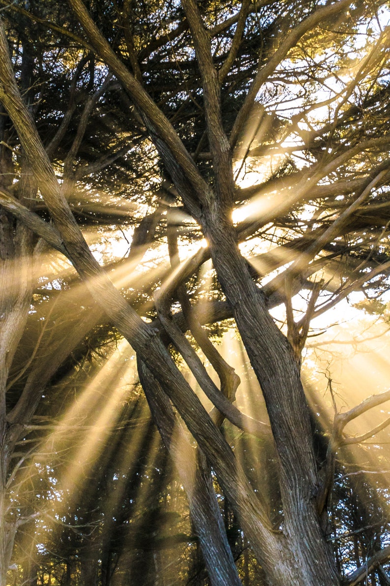 Scenic Photo Cards Nature Photography Note Cards Set Blank Etsy