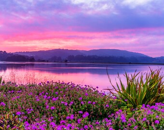 Bolinas Lagoon Sunset Print West Marin Photo Bolinas Stinson Beach Wall Decor Colorful Skies and Wildflowers Landscape Wall Art