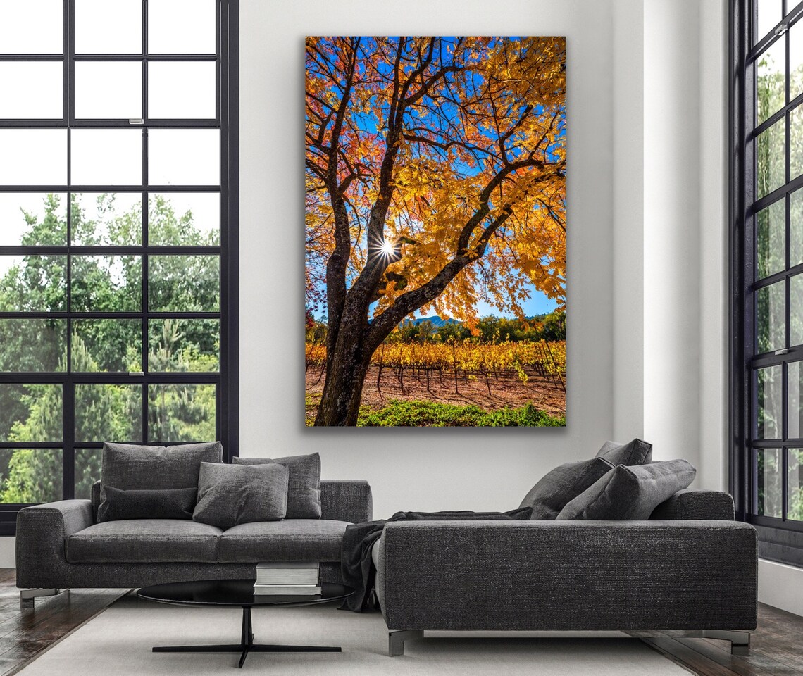 Colorful Tree Print Fall Colors Wall Art Napa Valley Photo Etsy