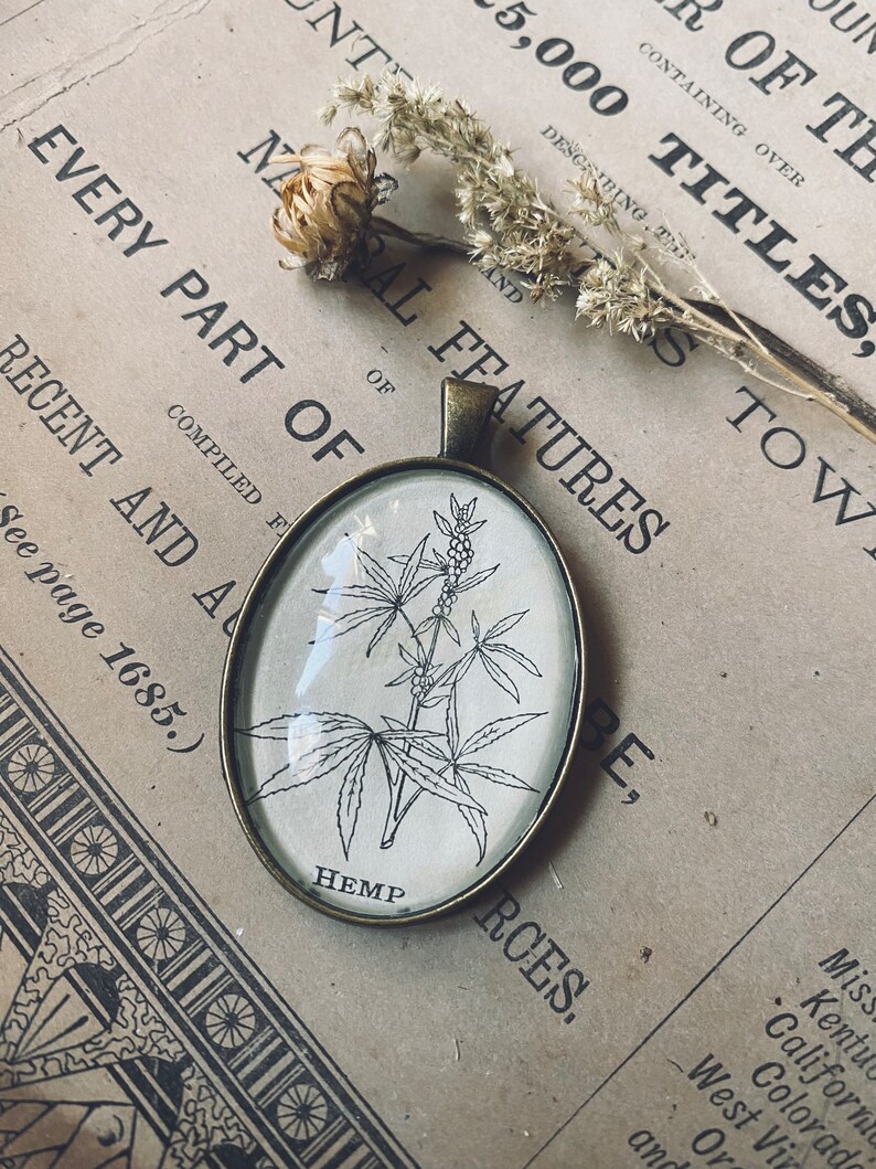 hemp pendant hemp necklace hemp art vintage hemp plant medicine botany gifts stoner gifts witchy gifts vintage art 1945 image 1