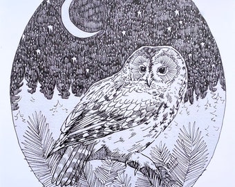 Owl Original Fine Art Print 11x14 Wall Art Poster Extra Heavy Linen Card Stock Bird Illustration Contemporary Art by Amanda Raynes
