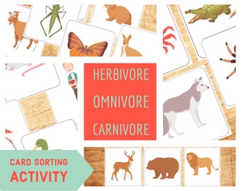 Herbivore Omnivore Carnivore Card Sorting Activity  |  Food Chain | Montessori  | 3 Part Cards  | Science |  Early Learning | DIY Materials